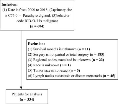 Comparison of prognosis after partial and total surgical resection for parathyroid carcinoma: an inverse probability of treatment weighting analysis of the SEER database